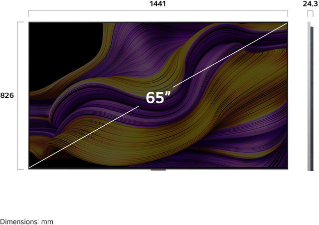 LG 65 G58LW / nur mit gültigem SDA-Vertrag