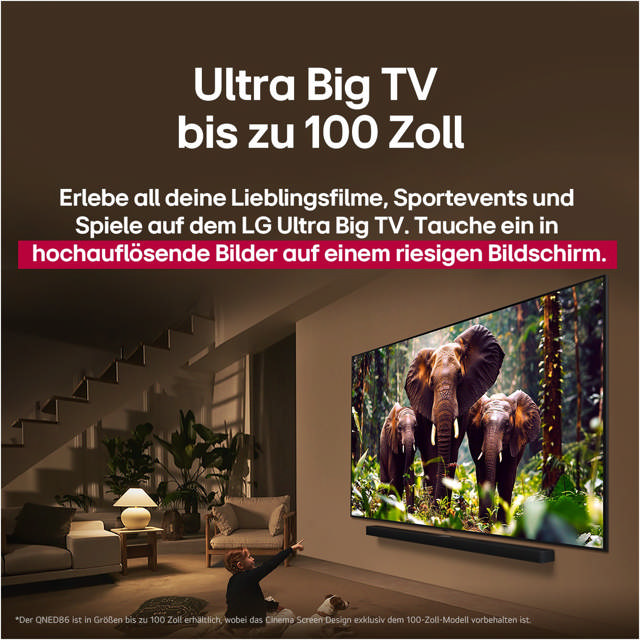 LG 65 QNED87A6B / nur mit gültigem SDA-Vertrag