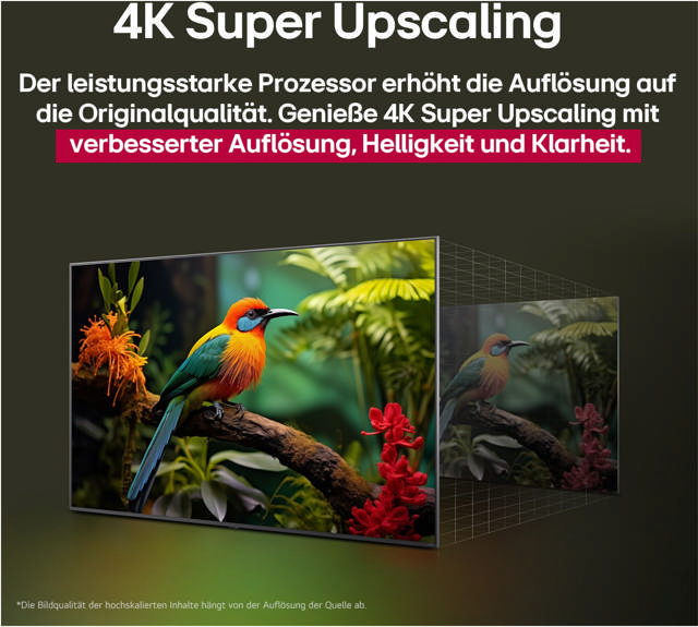 LG 86 QNED82A6B / nur mit gültigem SDA-Vertrag