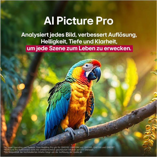 LG 65 QNED93A6A / nur mit gültigem SDA-Vertrag